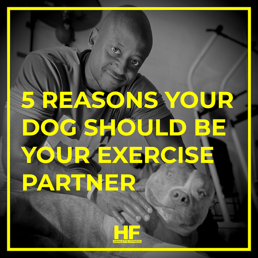 HAMLETTE FITNESS Blog Cover Image